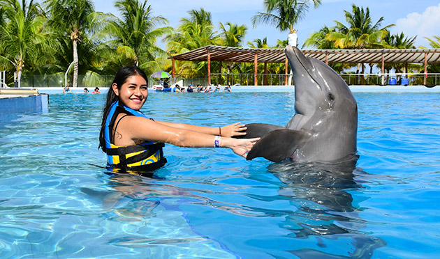 What to do in Akumal - Dolphin Discovery