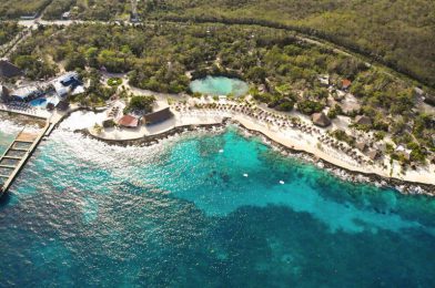 What to do in Cozumel?