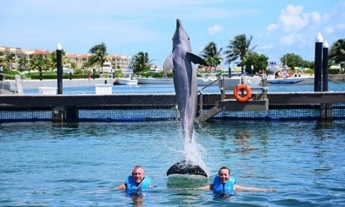 nado con delfines puerto morelos
