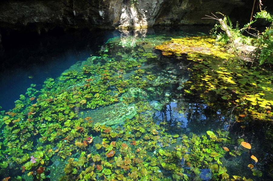 Gran Cenote - que hacer y ver en tulum